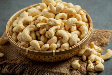 Beige brain coral maze on sandy seabed