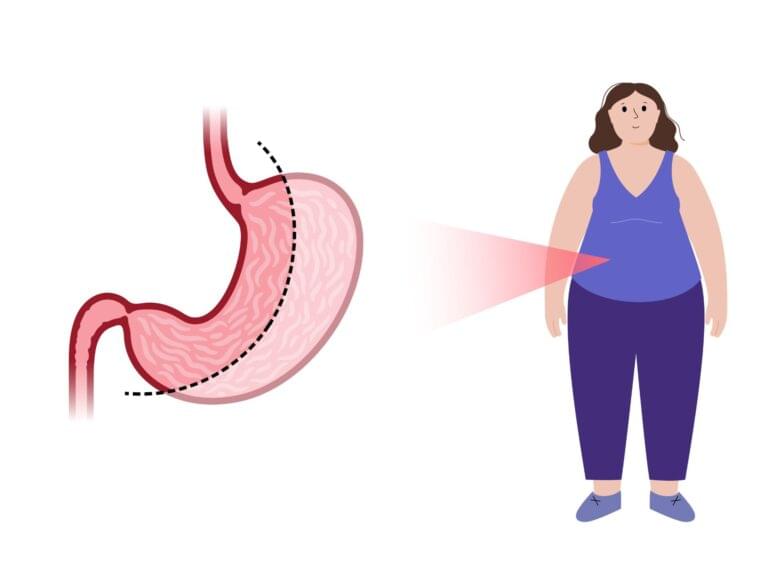 Cartoon stomach and person symbolizing metabolism